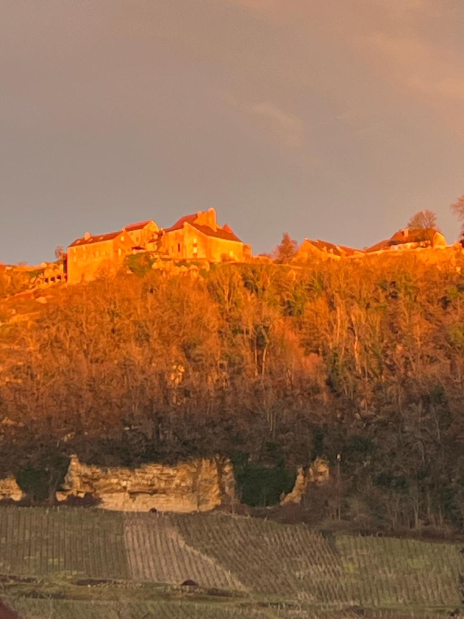 Gite Le Magnolia Voiteur Kültér fotó